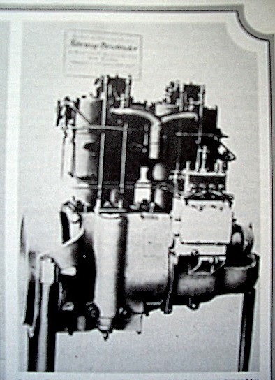 Cummins diesel bicilindrico IMGP6512