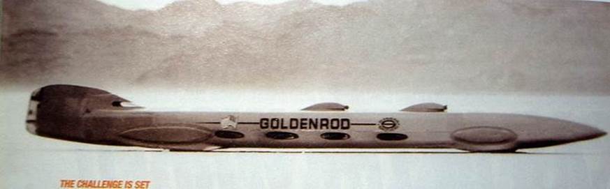Goldenrod DET TandCC 700-118 IMGP8233.jpg